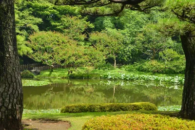 DSC_3347 (Large).JPG